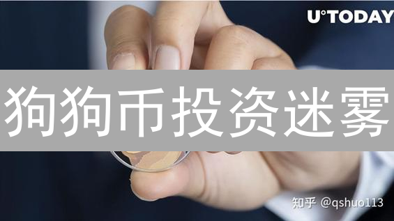 狗狗币投资迷雾：欧易风控是你的避风港？