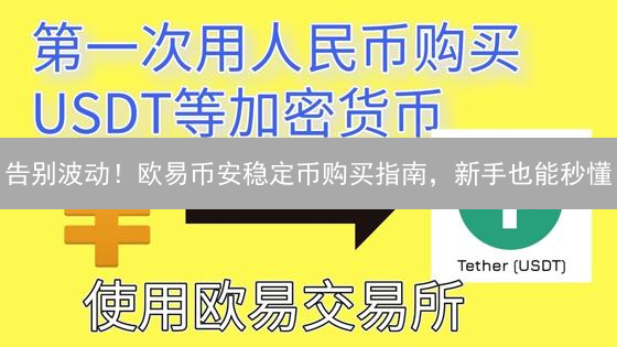 告别波动！欧易币安稳定币购买指南，新手也能秒懂？