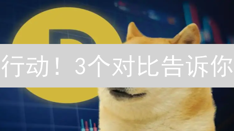 行动！3个对比告诉你：OKX与欧易，谁更适合狗狗币交易？