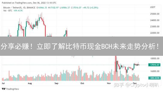 分享必赚！立即了解比特币现金BCH未来走势分析！
