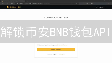 解锁币安BNB钱包API：开发者集成指南，像搭积木一样简单？