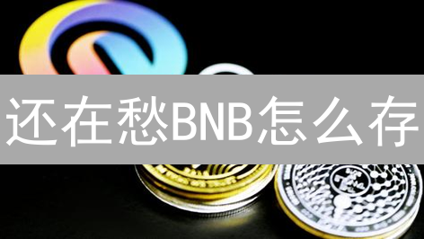 还在愁BNB怎么存？最全安全存储攻略，速看！
