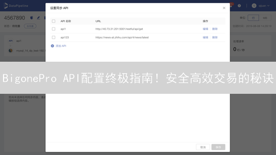 BigonePro API配置终极指南！安全高效交易的秘诀？
