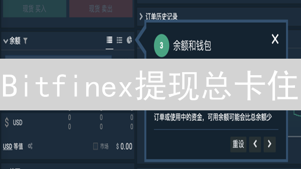 Bitfinex提现总卡住？避坑指南：这样做一次成功！