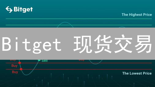 Bitget 现货交易：新手指南还是老手噩梦？最新操作对比分析！
