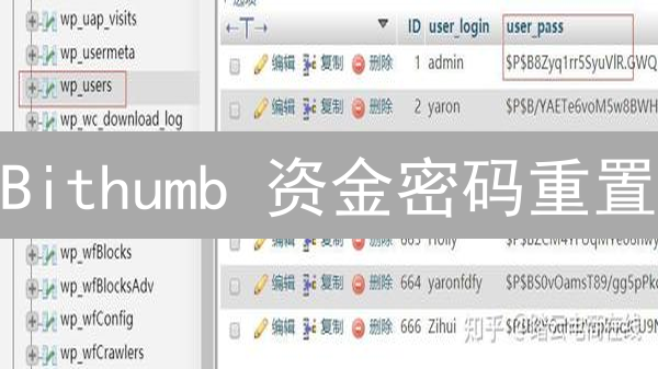 Bithumb 资金密码重置：看完这篇，立刻找回！