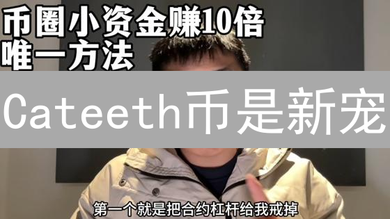 Cateeth币是新宠？对比分析，揭秘潜在风险与机遇！