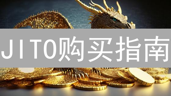 JITO购买指南：最新途径对比与风险提示 (2024)