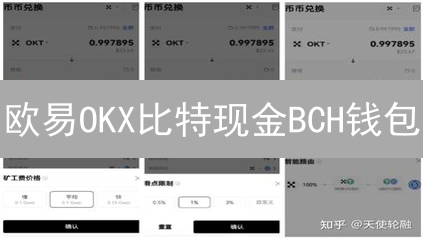 欧易OKX比特现金BCH钱包：安全存储，高效交易，新手也能轻松上手！