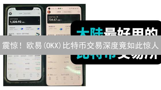 震惊！欧易(OKX)比特币交易深度竟如此惊人？权威解读！