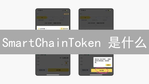 SmartChainToken 是什么？新手入门指南：如何玩转 BSC 生态？